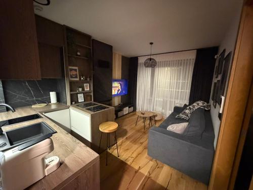 a small apartment with a couch and a kitchen at Ski & Spa Bjelašnica in Bjelašnica