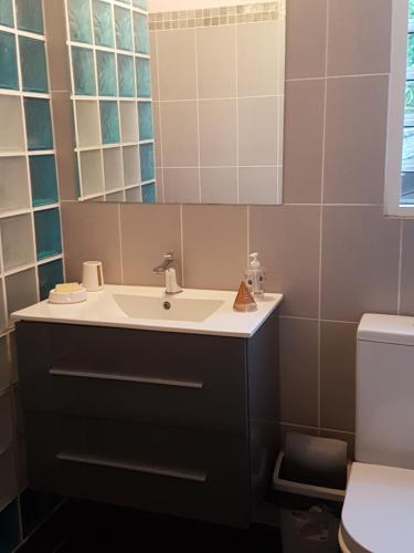 a bathroom with a sink and a toilet at Charmant logement in Lamentin