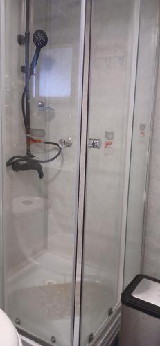 a shower with a glass door in a bathroom at Casa Archipiélago in Castro