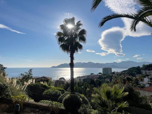 Splendid view Apartment in Cannes photo 39