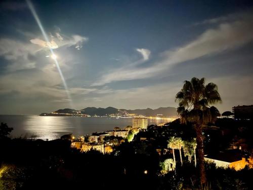 Splendid view Apartment in Cannes photo 42