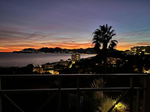 Splendid view Apartment in Cannes photo 43