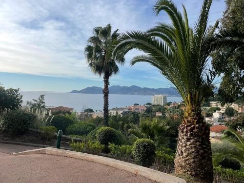 Splendid view Apartment in Cannes photo 40