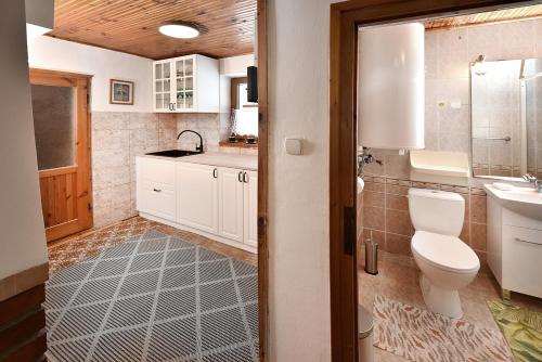 a bathroom with a toilet and a sink at Chata Anna Tatranská Štrba in Štrba