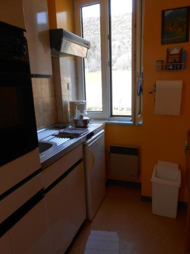 Il comprend une cuisine équipée d'une cuisinière et d'un évier. dans l'établissement Gîtes des Gabriels, à La Chapelle-en-Vercors