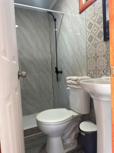 a bathroom with a toilet and a sink and a shower at CIRyT La Montaña - Eco Cabañas y Turismo Rural in Tomé
