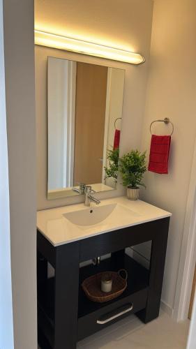 a bathroom with a sink and a mirror at Modern Apartment Pool & Gym by Paseo Santa Lucía in Monterrey