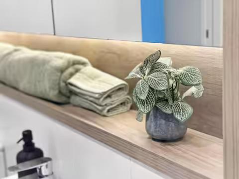 a plant in a vase sitting on a shelf at Prime Location for an Event in Olympic Park in Sydney
