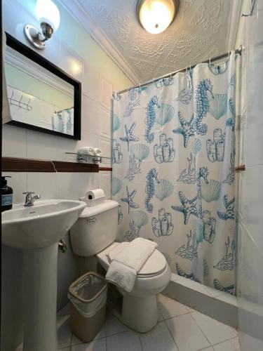 a bathroom with a sink and a toilet and a shower curtain at Hotel Makani in Panajachel