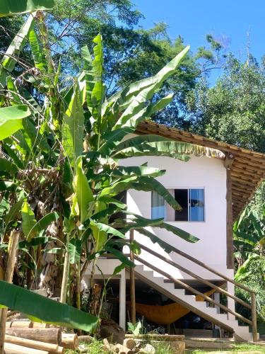 a house with a banana tree in front of it at Refúgio da Nicinha a 7 min do Centro Histórico in Paraty