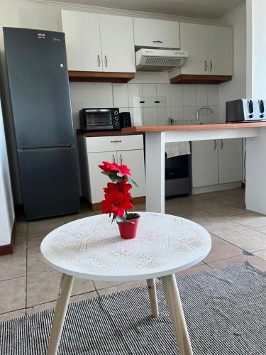 a kitchen with a table with a potted plant on it at Vista a los volcanes in Puerto Montt