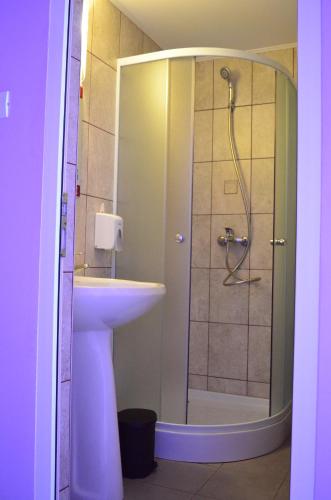 a bathroom with a shower and a sink and a shower at Pensiunea Flora in Cicir