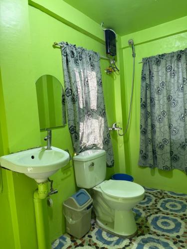 a green bathroom with a toilet and a sink at Sascha's Resort Oslob in Oslob