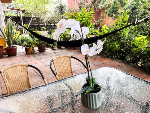 a flower in a vase sitting next to two chairs at Shanti Home in Tepoztlán