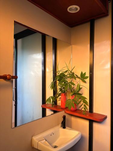 a bathroom with a sink and a mirror at Lakehouse in the Old Rainforest in Ko Phangan