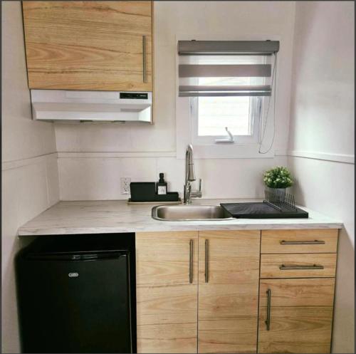 a small kitchen with a sink and a dishwasher at En Route Vers l'Infini in Perce