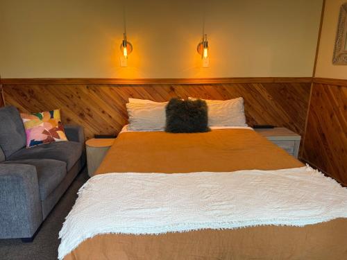 a cat sitting on a bed in a room at Te Anau Lakefront Backpackers in Te Anau