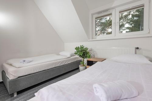 two beds in a white room with two windows at Ośrodek Wypoczynkowy Caritas in Wałcz
