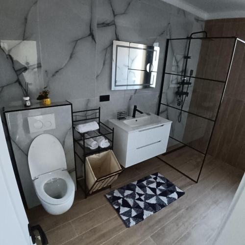 ein Badezimmer mit weißer Toilette und Waschbecken in der Unterkunft Avabi Concept in Nenciu