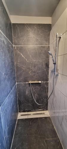 a bathroom with a shower with a hose at Piscine - Domaine de Wolphus - 15 min de la mer in Zouafques