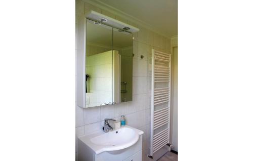 a bathroom with a sink and a mirror at Seehund 102 in Sint Annaland