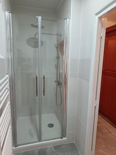 a shower with a glass door in a bathroom at Maison le Flamant in Port-Saint-Louis-du-Rhône