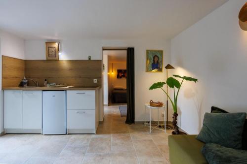 eine Küche mit weißen Schränken und ein Wohnzimmer in der Unterkunft Le Nid in Avignon