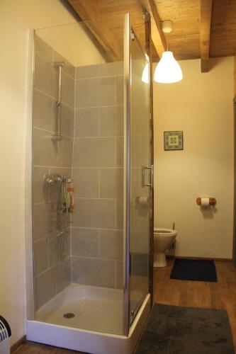a shower with a glass door in a bathroom at Gîte Charlange in Pradelette