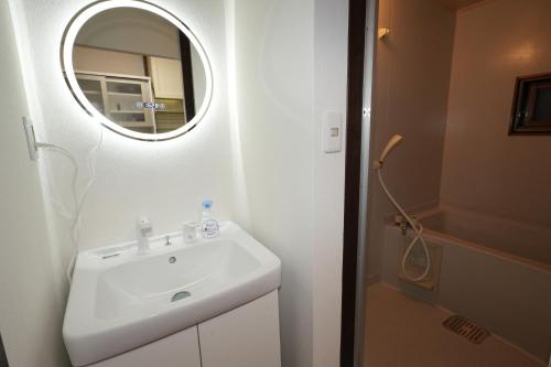 a bathroom with a sink and a mirror at INA HOUSE Higashi-Fuchu 101 in Fuchu