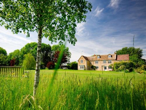 a tree in a field in front of a house at Corn Close in Stretton on Fosse