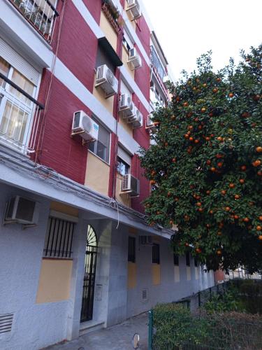 Apartamento Triana Maestro Guerrero