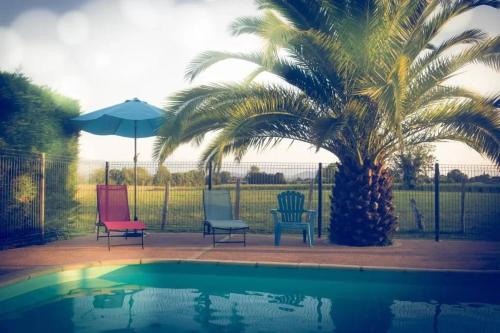a palm tree and chairs next to a pool at ZEcamping 3 étoiles piscine chauffée toboggans pet friendly locatif TV 8 pers in Saucède