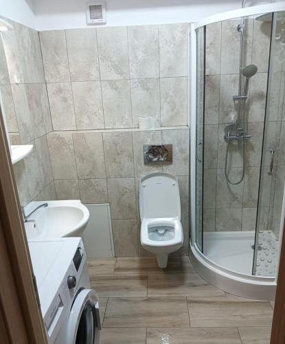 a bathroom with a shower and a toilet and a sink at Central Apartment Bacău in Bacău