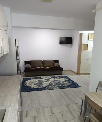 a living room with a couch and a rug at Central Apartment Bacău in Bacău