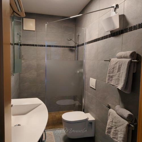 a bathroom with a toilet and a glass shower at Ferienwohnung Pusteblume4 in Oberau