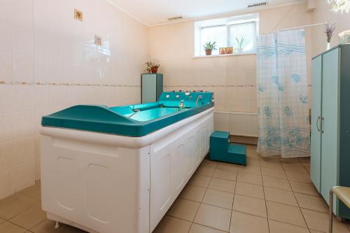 a bathroom with a blue sink and a shower at VitaPark Sonyachnyy Provans in Satanov