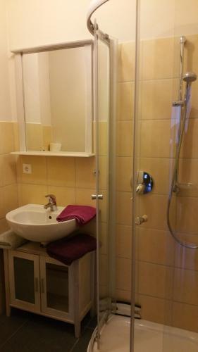 a bathroom with a sink and a shower at Doppelzimmer mit direktem Moselblick in Briedern