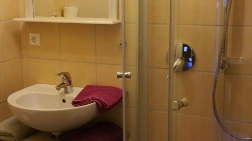 a bathroom with a sink and a shower at Doppelzimmer mit direktem Moselblick in Briedern