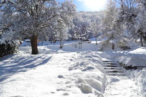 a path covered in snow with trees in the background at Hôtel et Appart'Hôtel Restaurant L'Adray in Longefoy