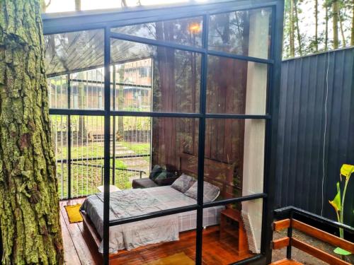a glass house with a bed in it next to a tree at Pineforrest in Sukapura