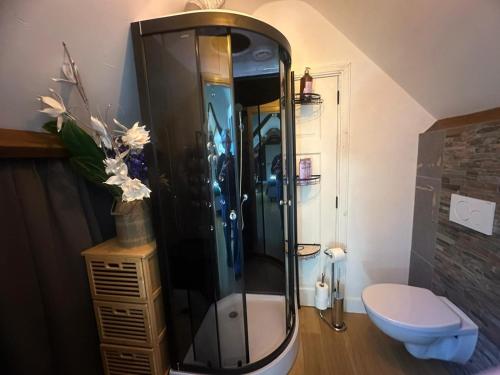 a large shower in a bathroom with a toilet at Fuchsiahoeve in Blaricum
