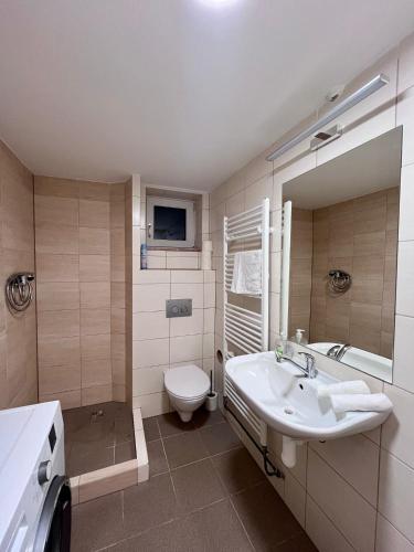 a bathroom with a sink and a toilet and a mirror at ZANIK Cozy Haven in Prague