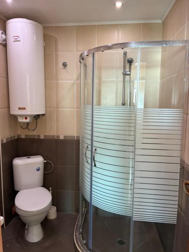 a bathroom with a toilet and a glass shower at Seaside Apartment Golf Coast in Topola