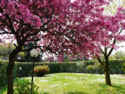 a tree with pink flowers in a yard at In Giardino B&B in Cassina deʼ Pecchi