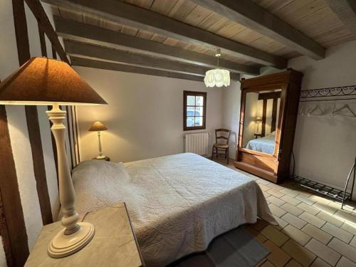 a bedroom with a bed with a lamp and a mirror at Le bourrut in Luglon