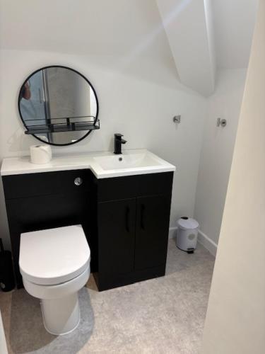 a bathroom with a white toilet and a mirror at Hotel Plas Hyfryd in Narberth