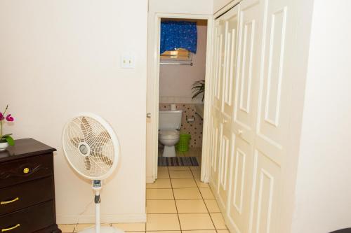 a bathroom with a toilet and a fan next to a door at Cozy Waterloo Apartment in Kingston