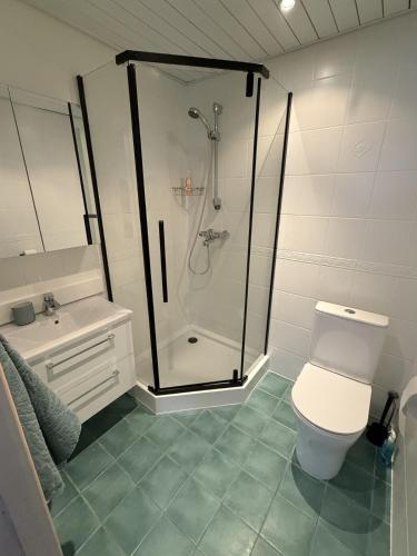 a bathroom with a shower and a toilet and a sink at Cozy Urban Escape in Otepää