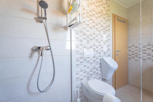 a bathroom with a shower with a toilet and a shower head at Vineyard Cottage Vrbek in Roginska Gorca