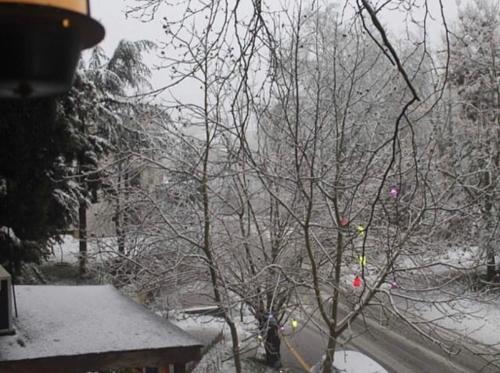 Kapri Termal Hotel & Kaplica Yalova